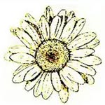 caleb_rain - @0caleb.rain.spam0 - Instagram