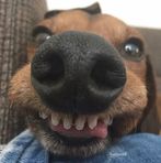 Rain Caleb Ricafrente - Facebook