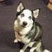 Caleb Ralston - Facebook