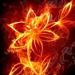 Caleb Randall - @pyromaniac483 - Instagram