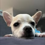 Caleb Rath - Facebook