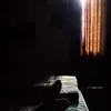 Rathfon Caleb - @rathfon.caleb - TikTok