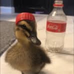 Caleb Ray - Facebook