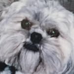 Caleb Read - @caleb.read - Instagram