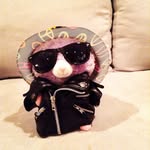 Caleb Reagan - @reaganchildofcoolness - Instagram