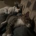 Caleb Richert - Facebook