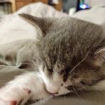 Caleb Richmond - Facebook