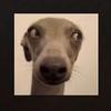 Caleb Richmond - @caleb_phoenix - TikTok