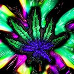 Caleb Rowe - @calebsfinsta.336 - Instagram
