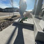 Caleb Rummel - @skateboardz_cr - Instagram