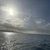 Caleb Scott - @caleb.scott0 - TikTok