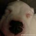 Caleb Scott - Facebook