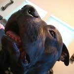 Caleb Sears - @caleb.sears.73 - Instagram
