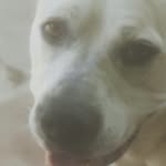 calebselby - @calebselby4593 - Instagram