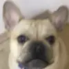 Caleb serna - @cjs368 - TikTok