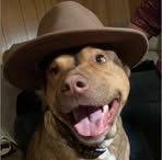 Caleb Shade - Facebook