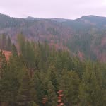 Caleb Shade - @caleb.shade.58 - Instagram