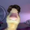 calebsharpe2005 - @calebsharpe2005 - TikTok