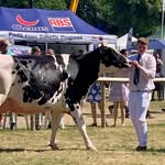 Caleb Shaw - @caleb.farminglover - Instagram