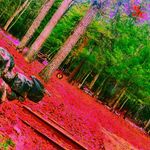 Caleb Sheldon - @caleb_sheldon0 - Instagram
