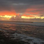 Caleb - @caleb_conk_shell - Instagram