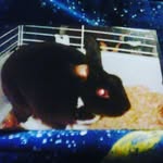 Caleb Shepard - @calebshepard11272005 - Instagram