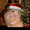 Caleb Sherman - @caleb.sherman4 - TikTok