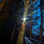 Caleb Shields - @caleb_shields56 - Instagram