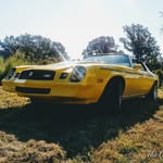 Caleb Shoemaker - @1978_camaro - Instagram