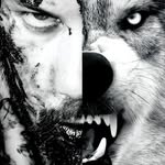 Caleb Shomo (fan page) - @calebshom0 - Instagram