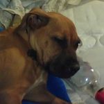 Caleb Shook - @710cnote - Instagram