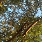 Caleb Siegler - @cale.b1112 - Instagram