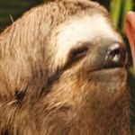 Caleb Sikes - @caleb_sikes11 - Instagram