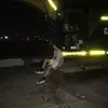 caleb.sim - @caleb.sim - TikTok
