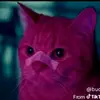 caleb - @simon.caleb - TikTok