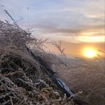 Caleb Simonson - @calebsimonson4 - Instagram