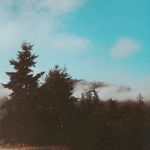 Caleb Singleton - @calebslens - Instagram