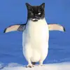 Caleb_07pe - @caleb_07siu - TikTok