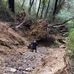 Caleb Skinner - Facebook