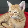 Caleb - @caleb_slater - TikTok