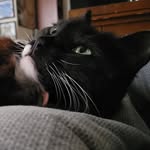 Caleb Slater - @tired_lamb - Instagram