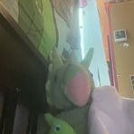 Caleb Snell - Facebook