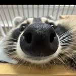 Caleb Snell - @caleb.snell1 - Instagram