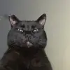 caleb - @caleb.solis - TikTok