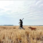Caleb Sowells - @calebsowells - Instagram