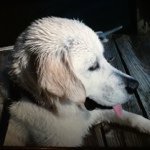 Caleb sparkman - @cookie_monster___bro - Instagram