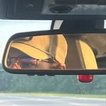 Caleb Sparks - @rats83396 - Instagram