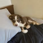Caleb Sparks - @calebsparks27 - Instagram