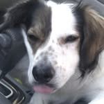 Caleb Spear - @cispear - Instagram