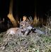 Caleb Speer - Facebook